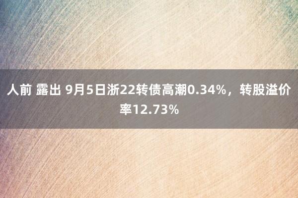 人前 露出 9月5日浙22转债高潮0.34%，转股溢价率12.73%