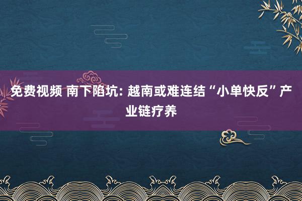 免费视频 南下陷坑: 越南或难连结“小单快反”产业链疗养