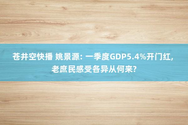 苍井空快播 姚景源: 一季度GDP5.4%开门红， 老庶民感受各异从何来?