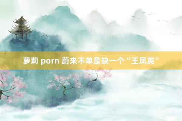 萝莉 porn 蔚来不单是缺一个“王凤英”